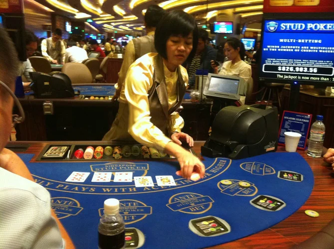 逐梦娱乐3D龙之传说电子游戏